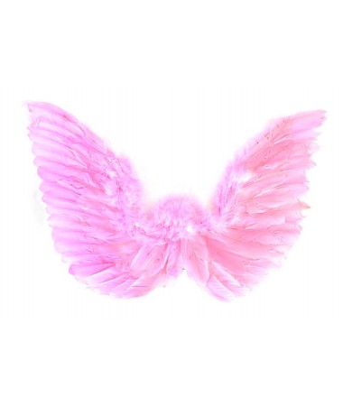 Angel Wings pink BUY
